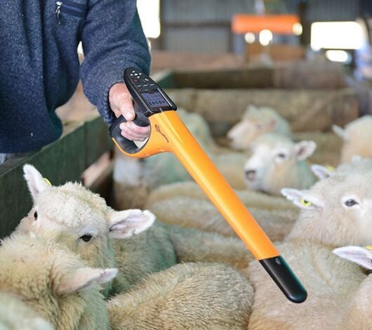 Be in the know with Gallagher's Weighing & EID Soloutions! Available from KRS! Be in the know with Gallagher's Weighing & EID Soloutions! Available from KRS!